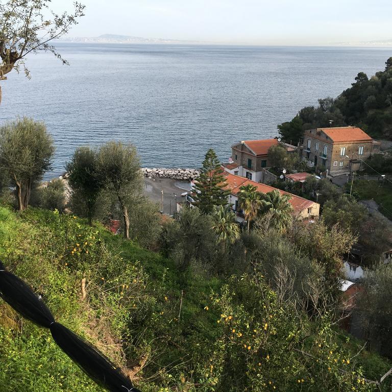 Villa Rosmary - Sorrento Coast - Gulf Of Naples View Zewnętrze zdjęcie