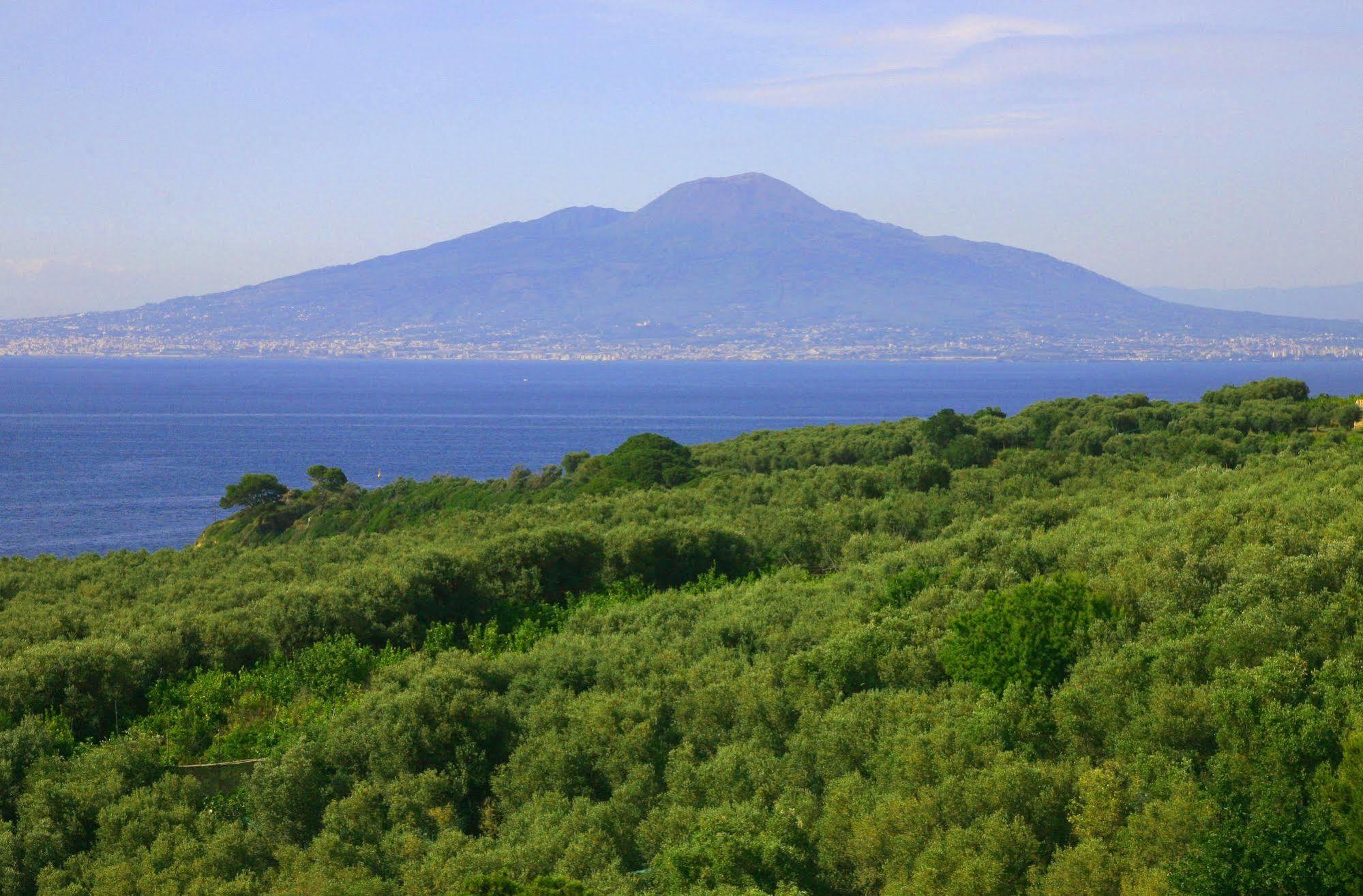 Villa Rosmary - Sorrento Coast - Gulf Of Naples View Zewnętrze zdjęcie