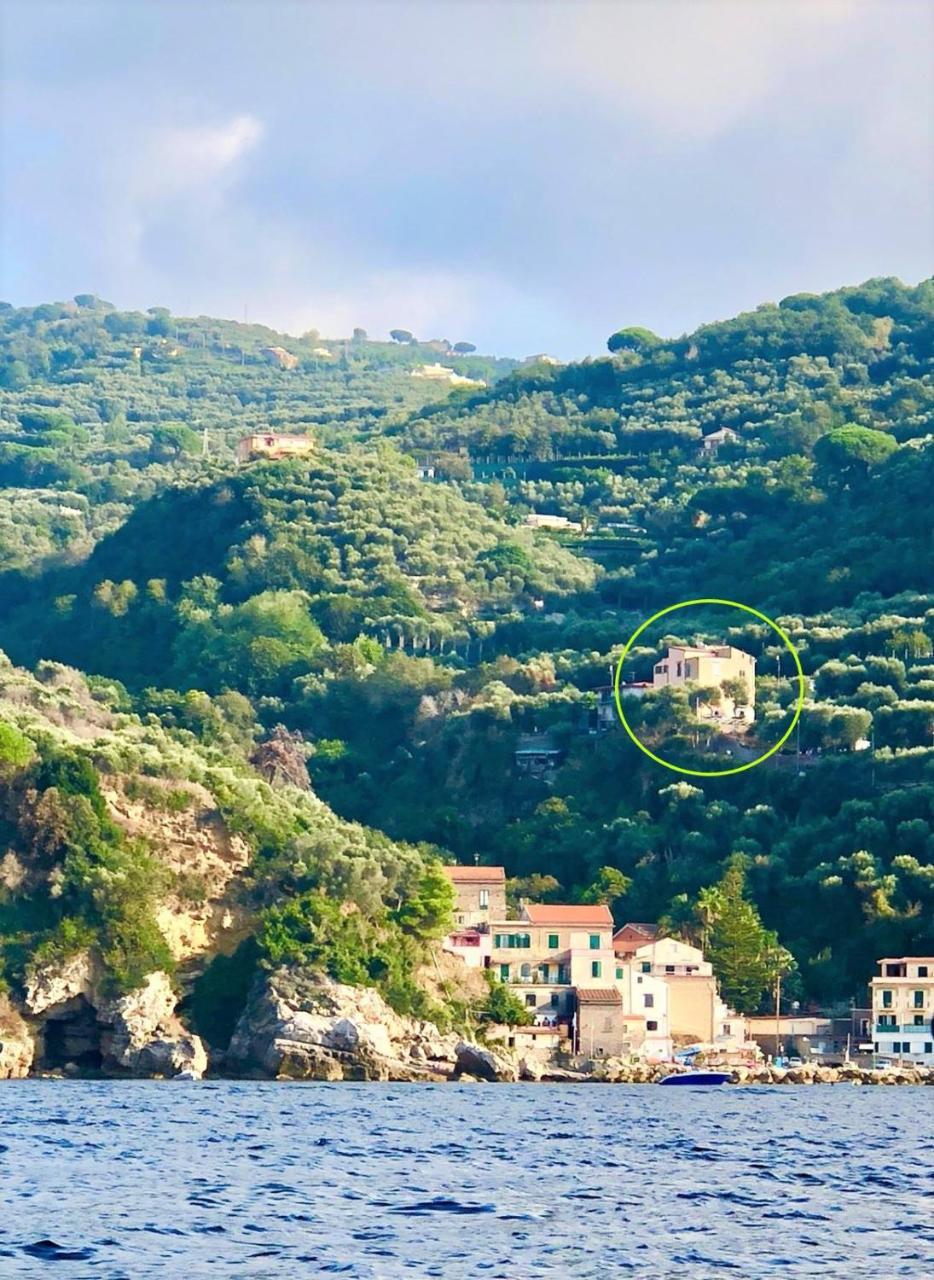 Villa Rosmary - Sorrento Coast - Gulf Of Naples View Zewnętrze zdjęcie